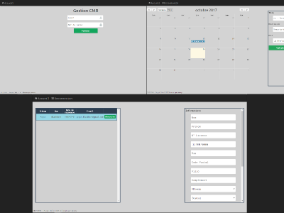 Projet CMR screenshot
